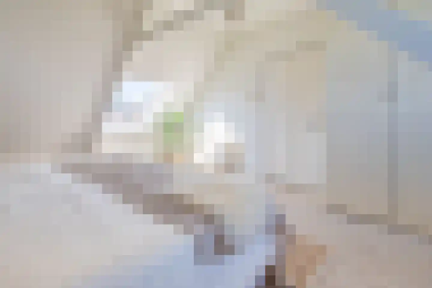 Bloemenstraat 6 Ter Aar thumbnail 16