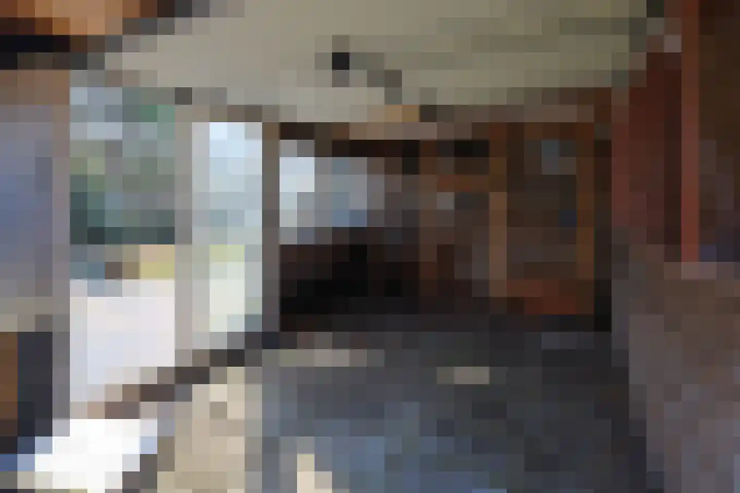 Bloemenstraat 6 Ter Aar thumbnail 30