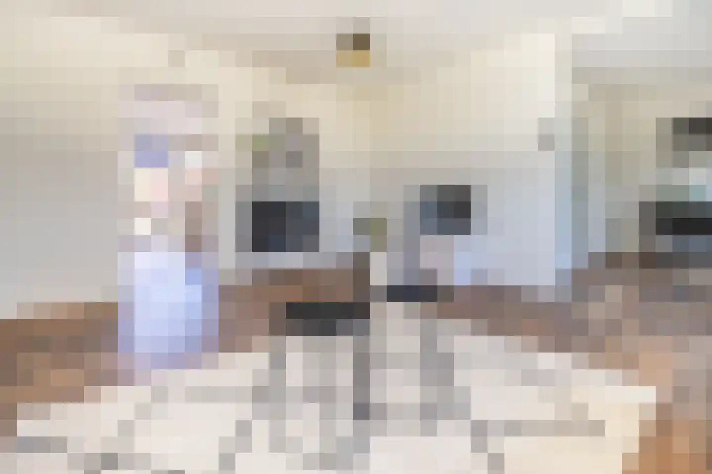 Bloemenstraat 6 Ter Aar thumbnail 6