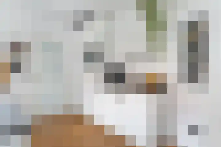 Bloemenstraat 7 Ovezande thumbnail 11
