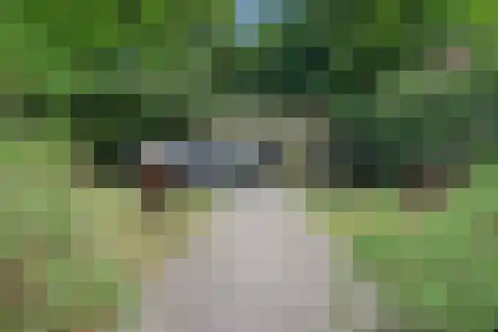 Bloemenstraat 7 Ovezande thumbnail 33