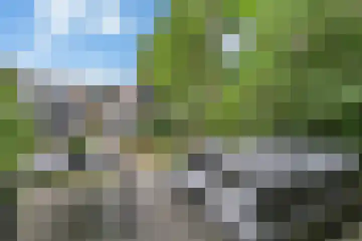 Bloemenstraat 7 Ovezande thumbnail 35