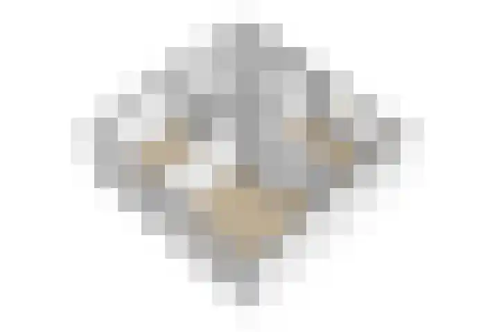 Bloemenstraat 7 Ovezande thumbnail 42