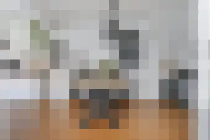 Bloemenstraat 7 Ovezande thumbnail 7
