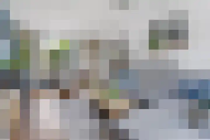 Bloemenstraat 7 Ovezande thumbnail 9