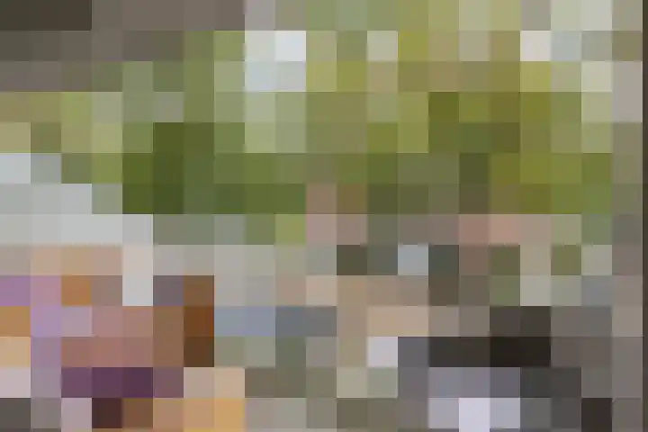 Bloementuin 11 De Goorn thumbnail 31