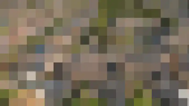 Bloementuin 11 De Goorn thumbnail 49