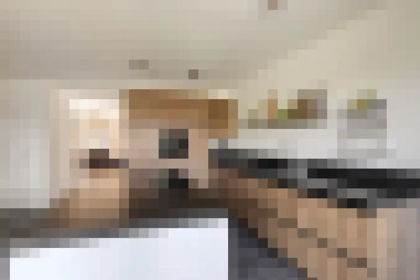 Bloementuin 5 De Goorn thumbnail 14