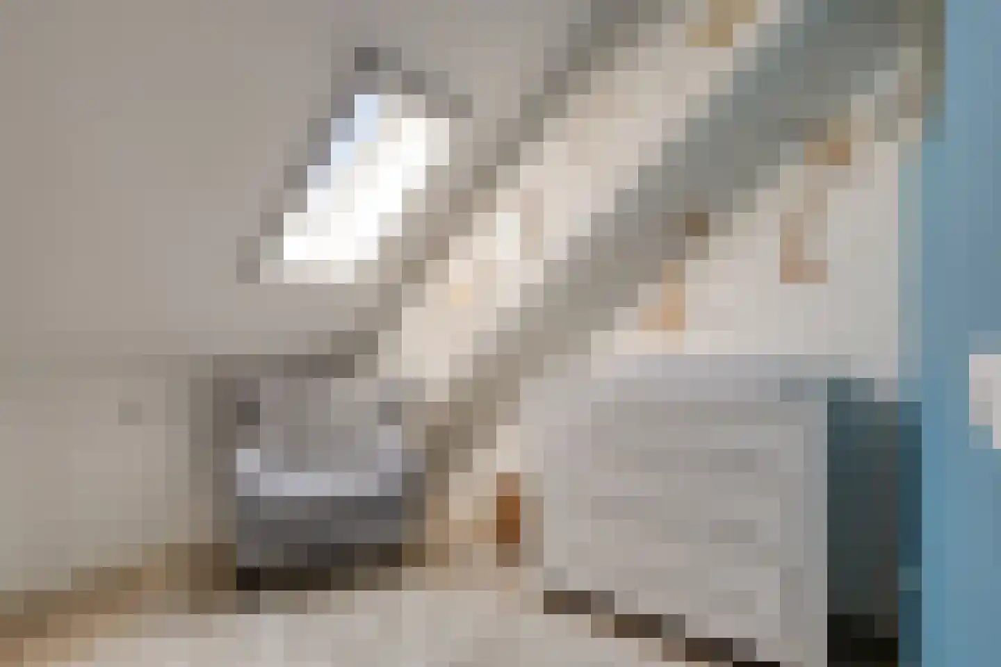 Bloementuin 5 De Goorn thumbnail 31
