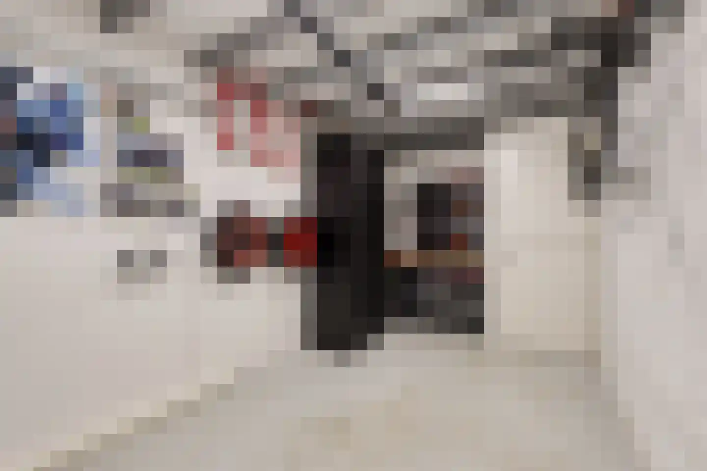 Bloementuin 5 De Goorn thumbnail 33