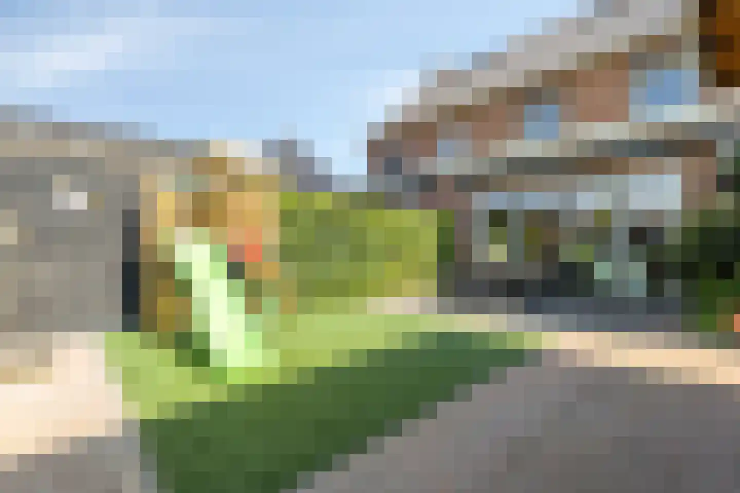 Bloementuin 5 De Goorn thumbnail 35