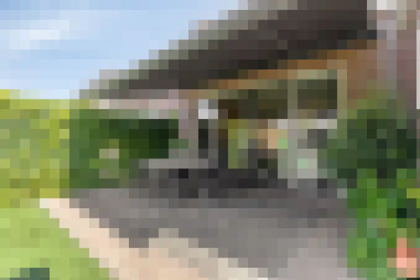 Bloementuin 5 De Goorn thumbnail 38