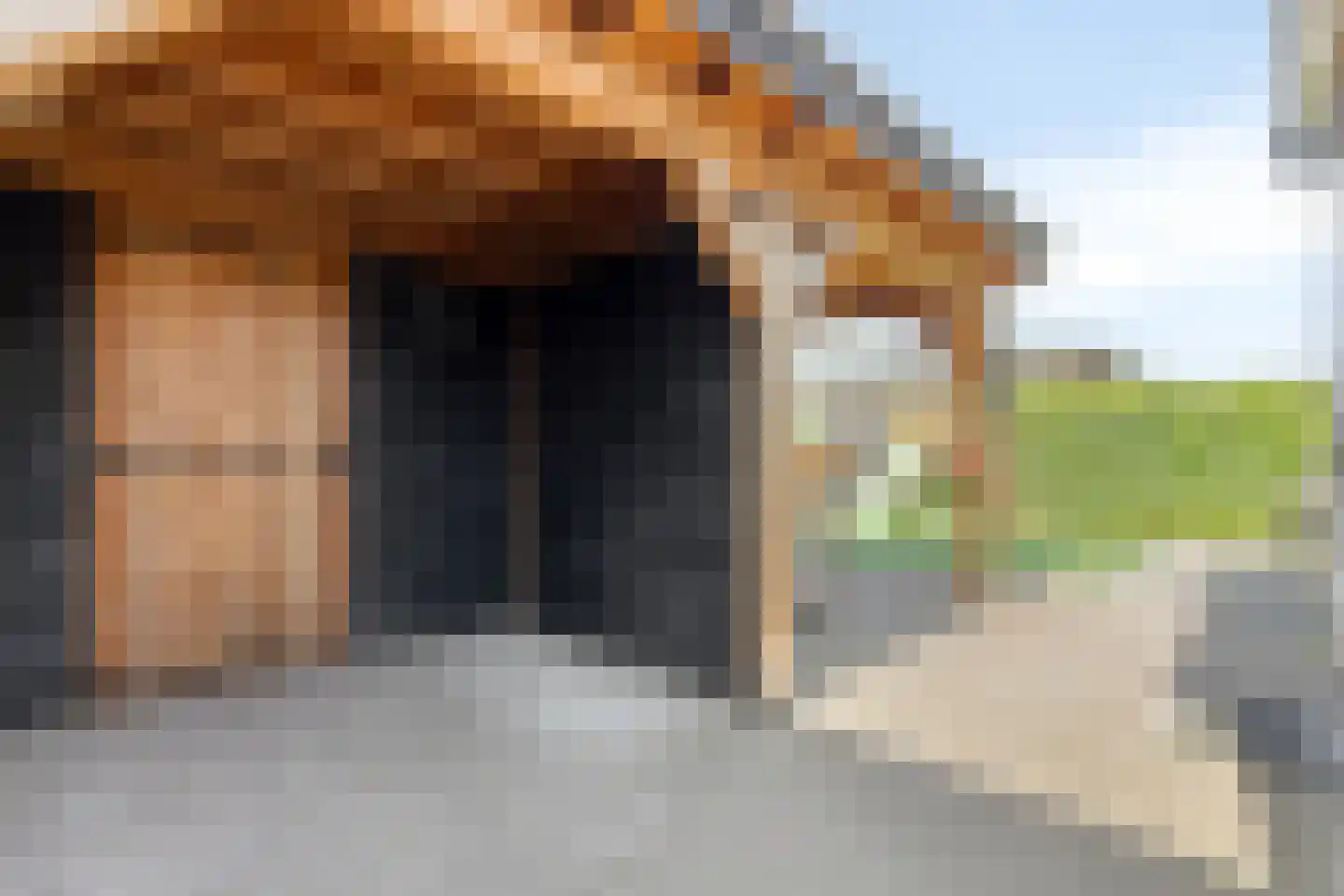 Bloementuin 5 De Goorn thumbnail 39