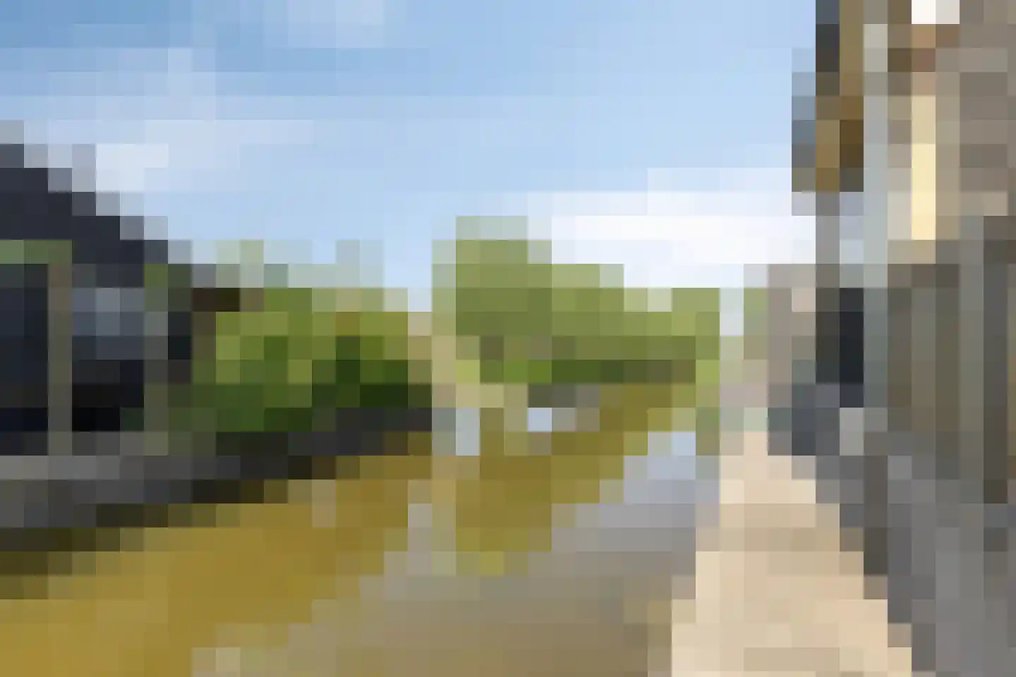 Bloementuin 5 De Goorn thumbnail 40