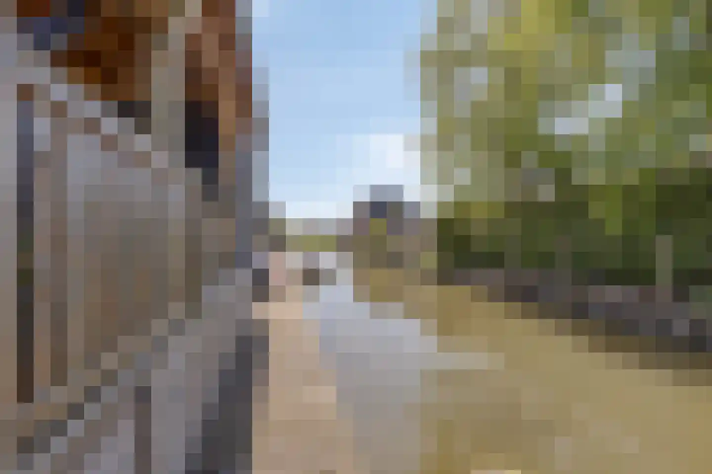Bloementuin 5 De Goorn thumbnail 41