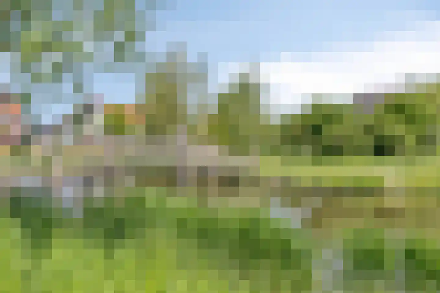 Bloementuin 5 De Goorn thumbnail 42