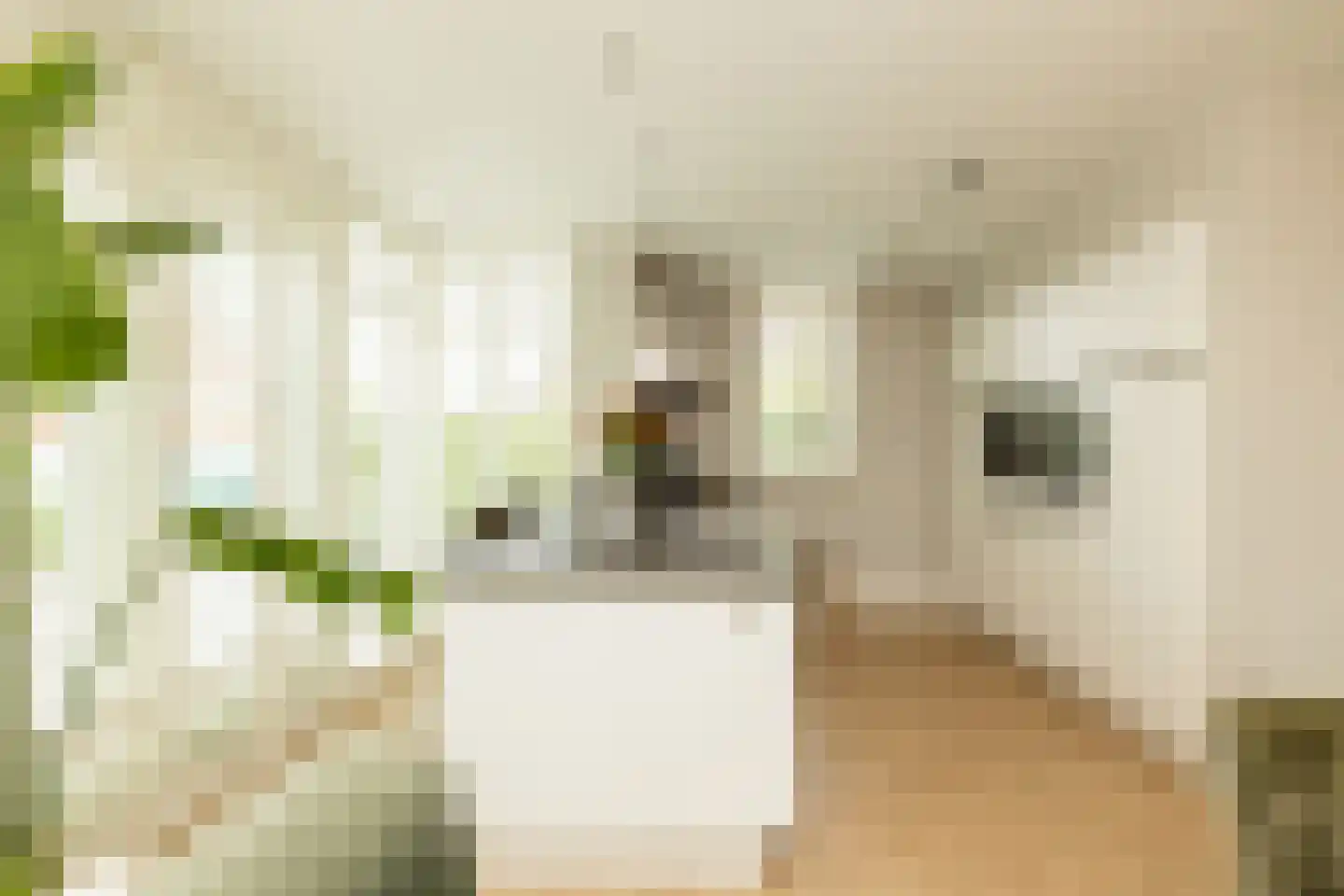 Bloementuin 5 Naaldwijk thumbnail 11