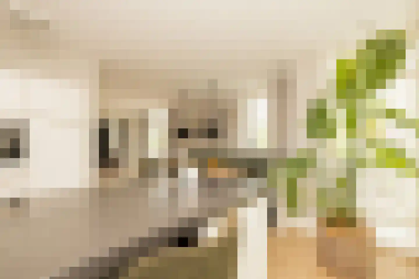 Bloementuin 5 Naaldwijk thumbnail 13