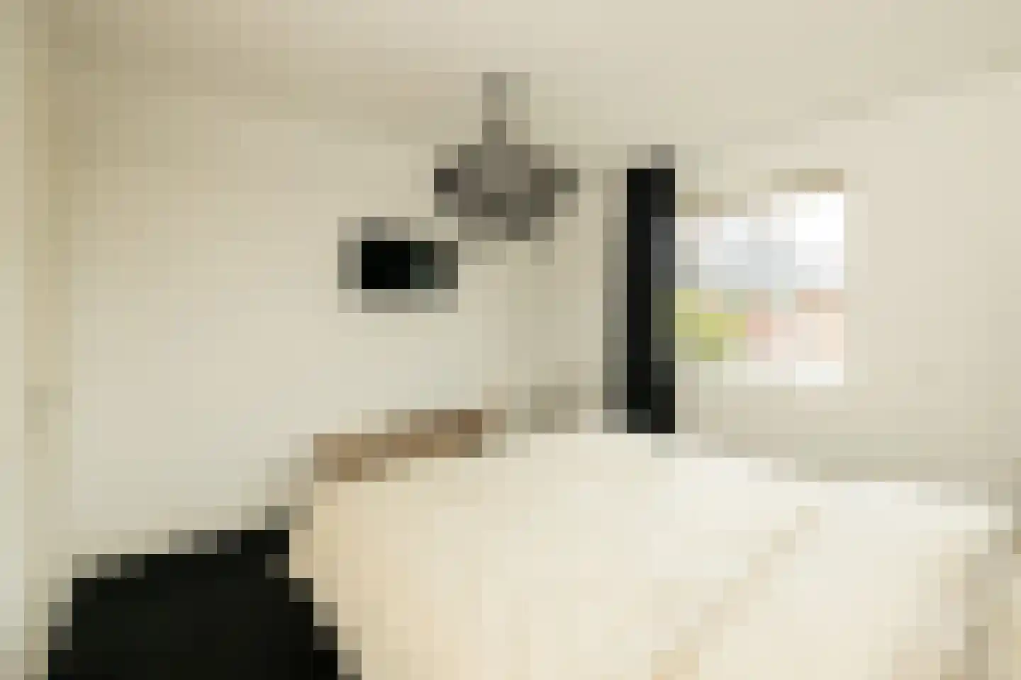 Bloementuin 5 Naaldwijk thumbnail 20