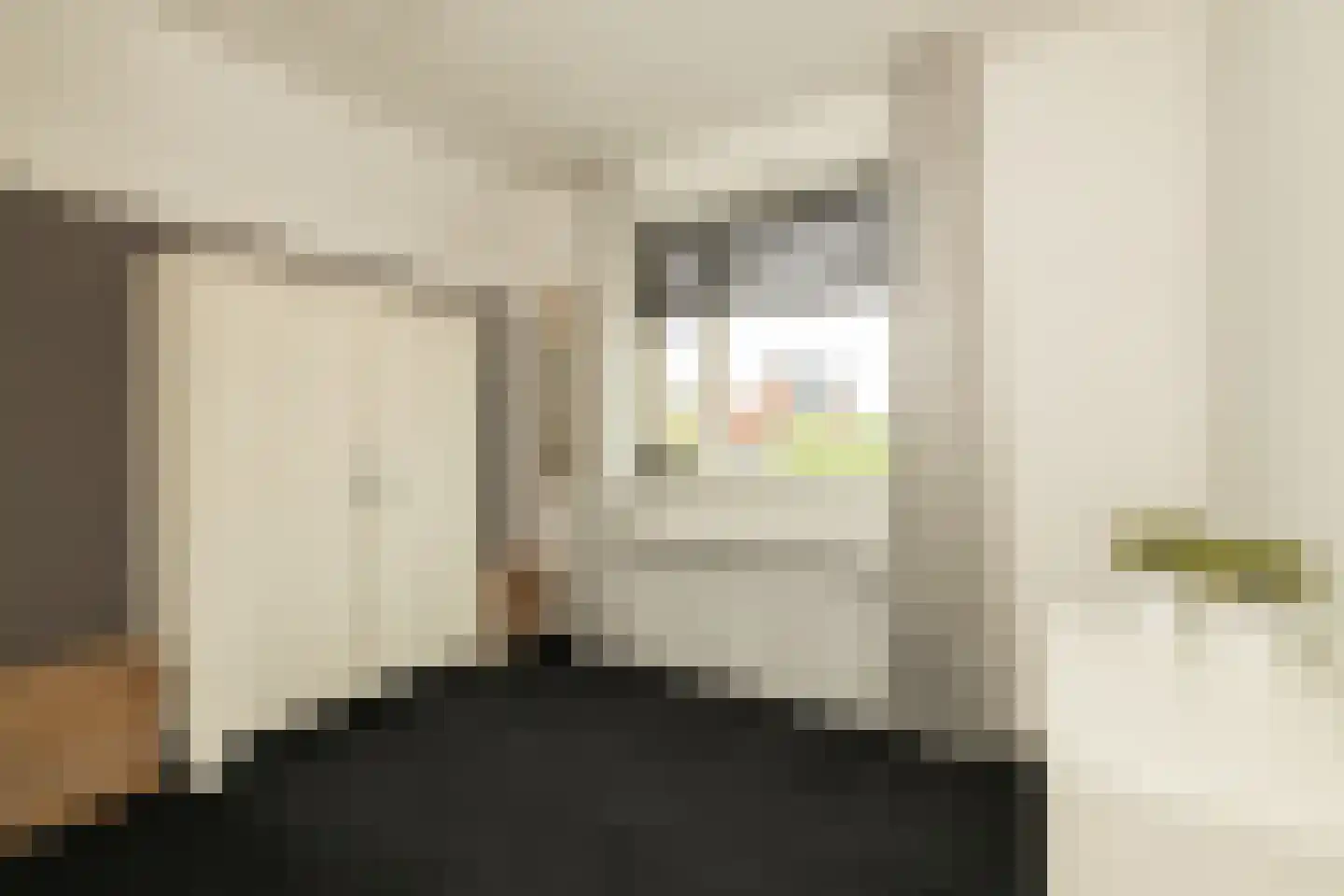 Bloementuin 5 Naaldwijk thumbnail 27
