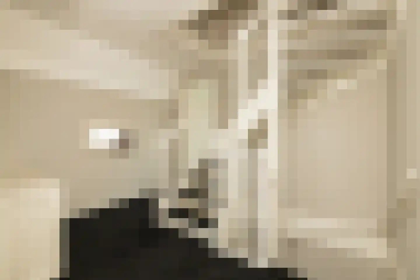 Bloementuin 5 Naaldwijk thumbnail 30