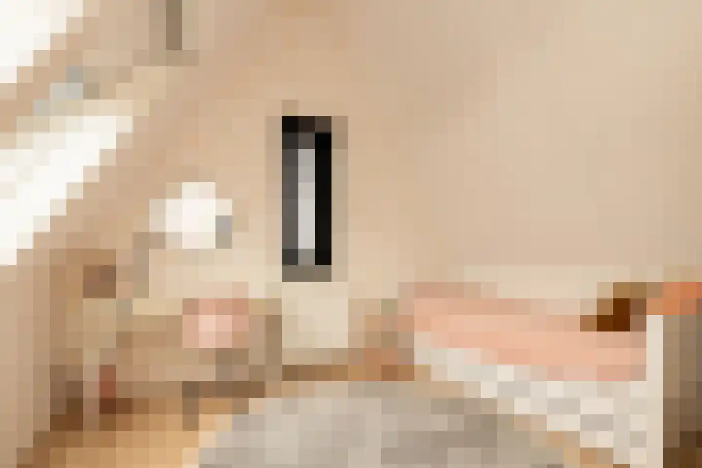 Bloementuin 5 Naaldwijk thumbnail 33