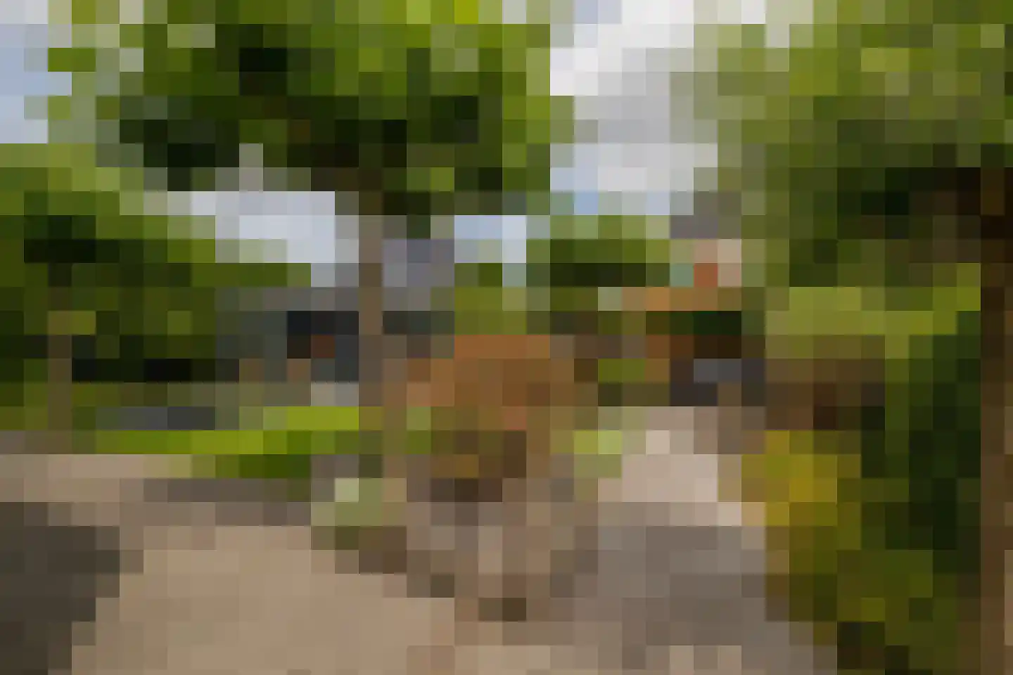 Bloementuin 5 Naaldwijk thumbnail 37