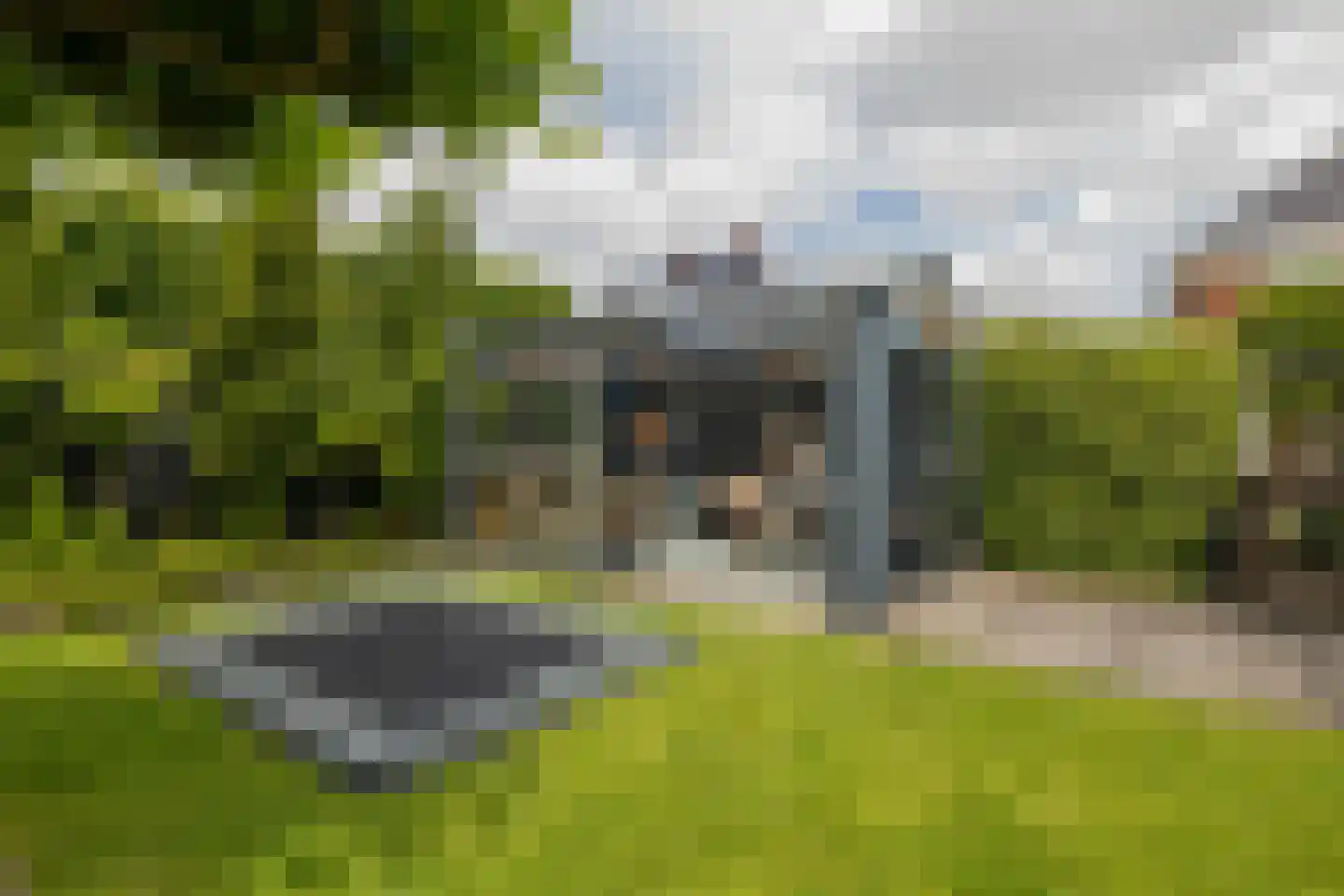 Bloementuin 5 Naaldwijk thumbnail 39