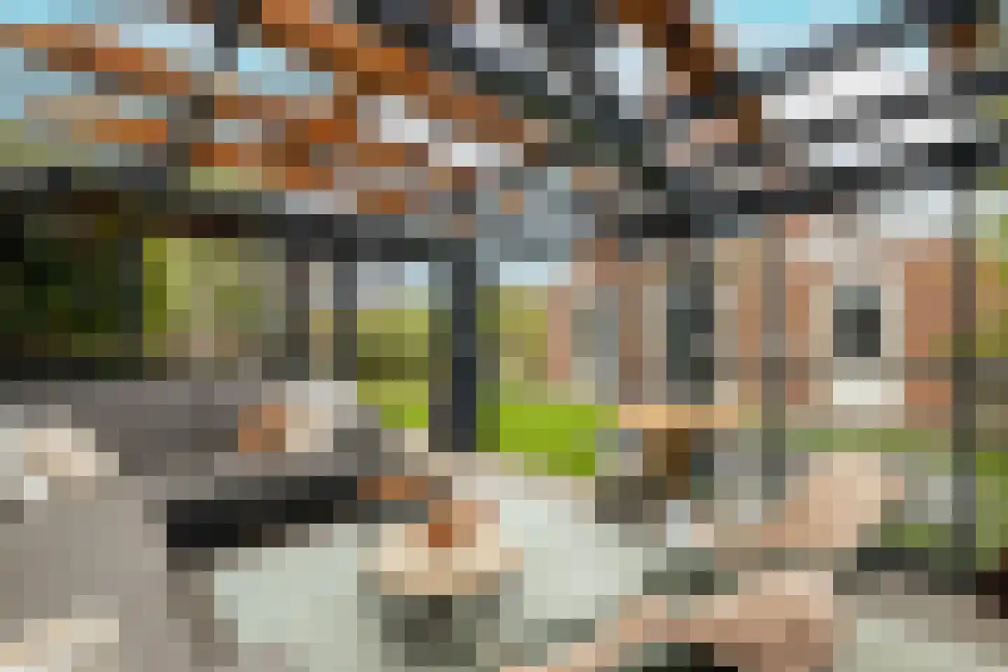 Bloementuin 5 Naaldwijk thumbnail 4