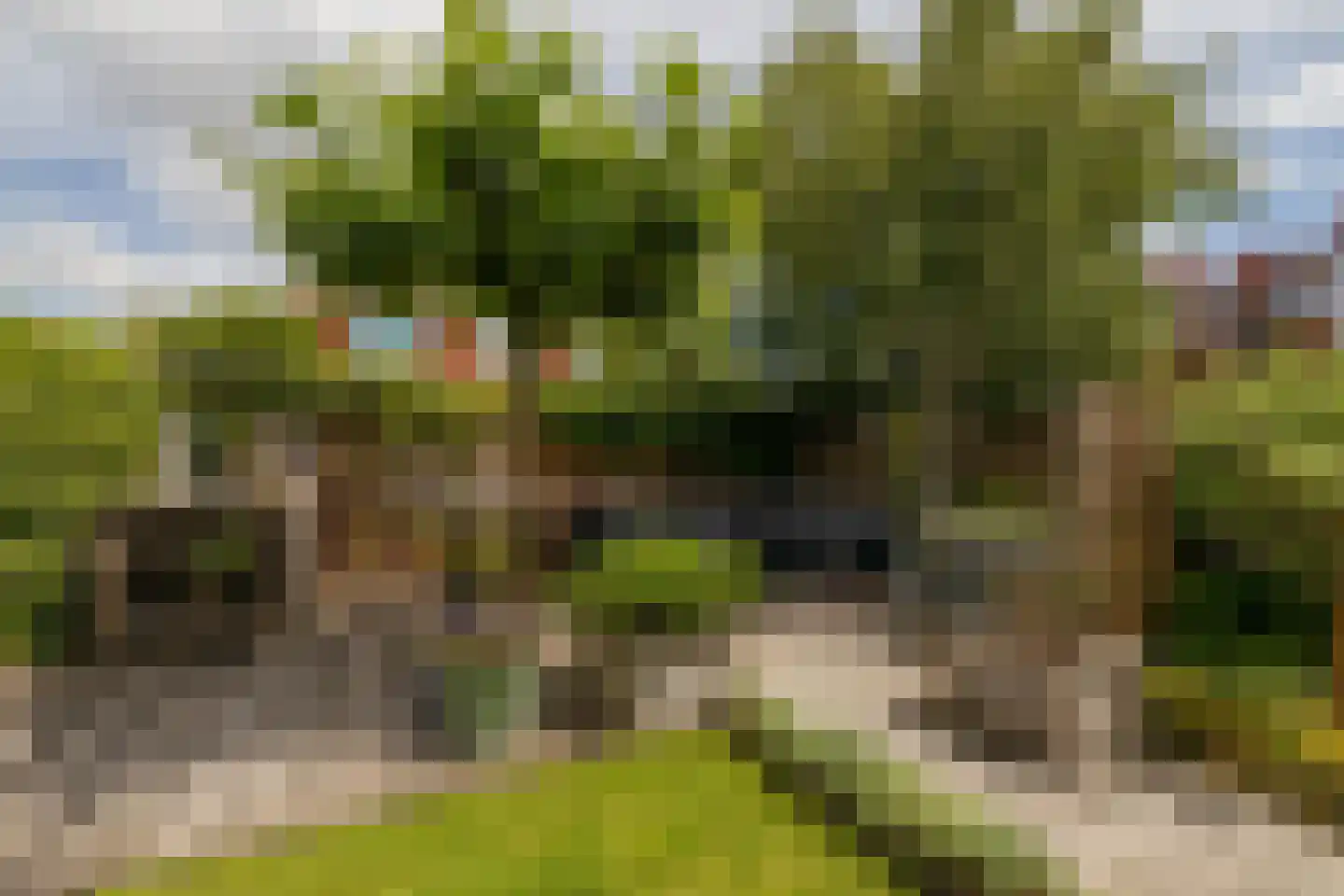 Bloementuin 5 Naaldwijk thumbnail 40
