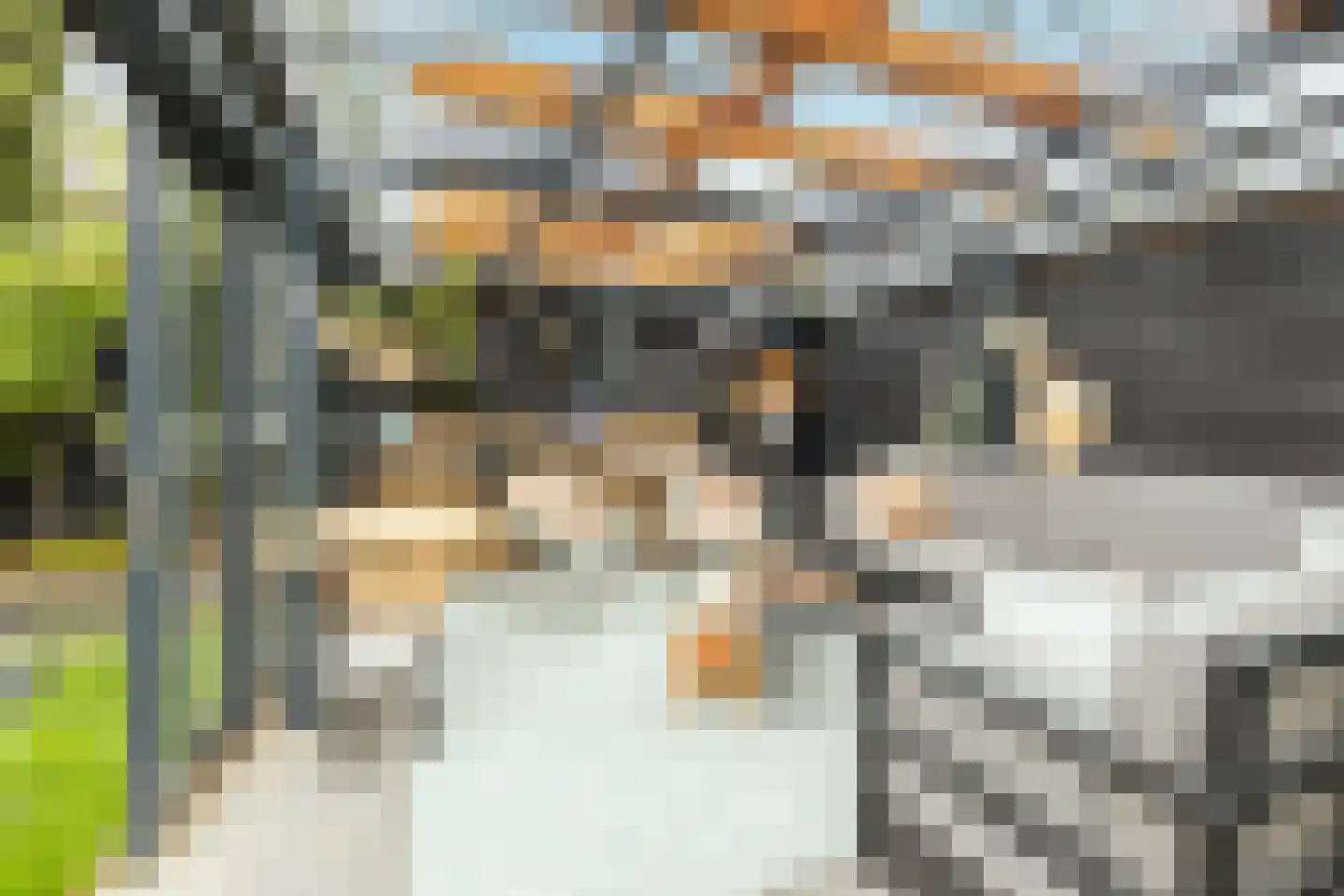 Bloementuin 5 Naaldwijk thumbnail 42