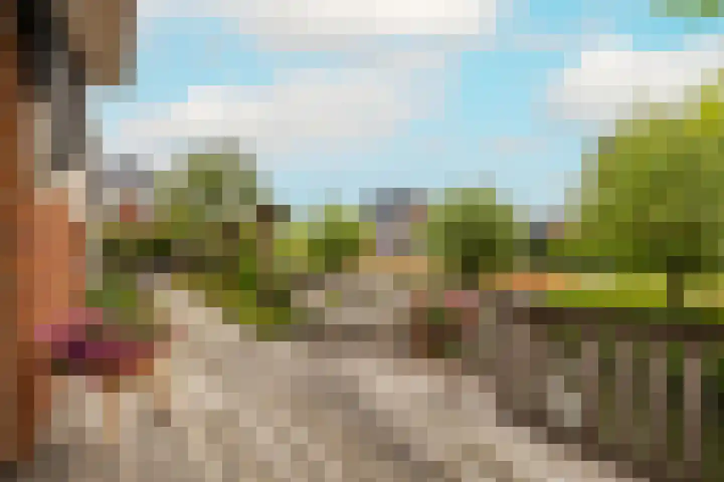 Bloementuin 5 Naaldwijk thumbnail 46
