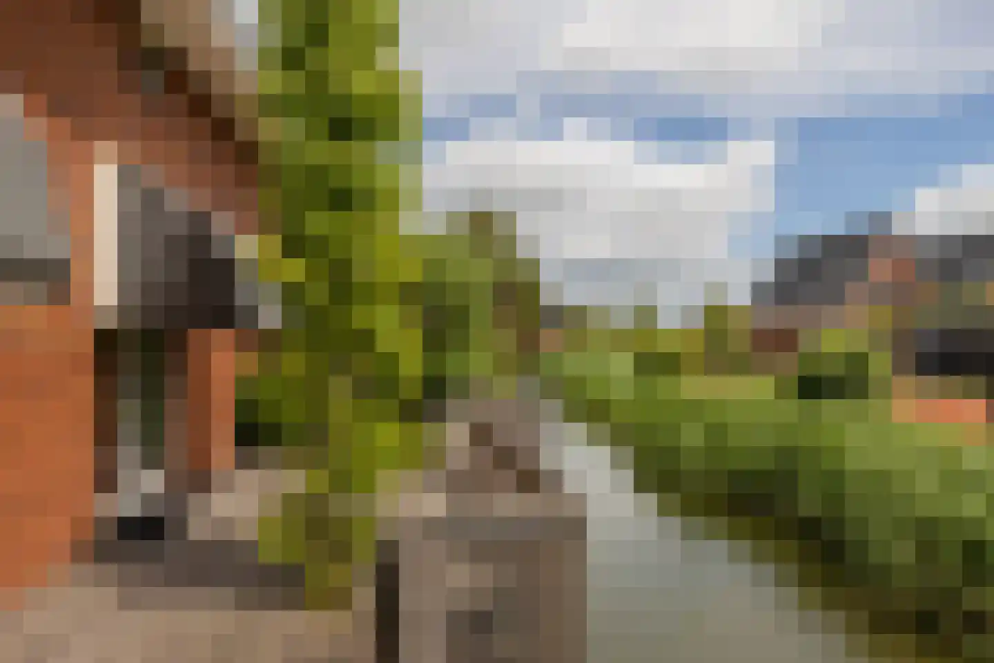 Bloementuin 5 Naaldwijk thumbnail 47