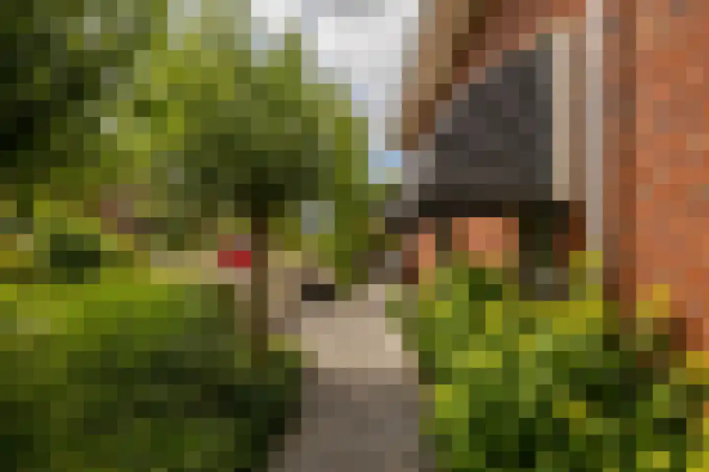 Bloementuin 5 Naaldwijk thumbnail 48