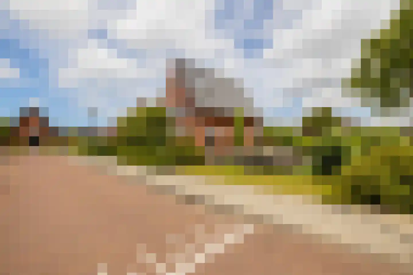 Bloementuin 5 Naaldwijk thumbnail 49