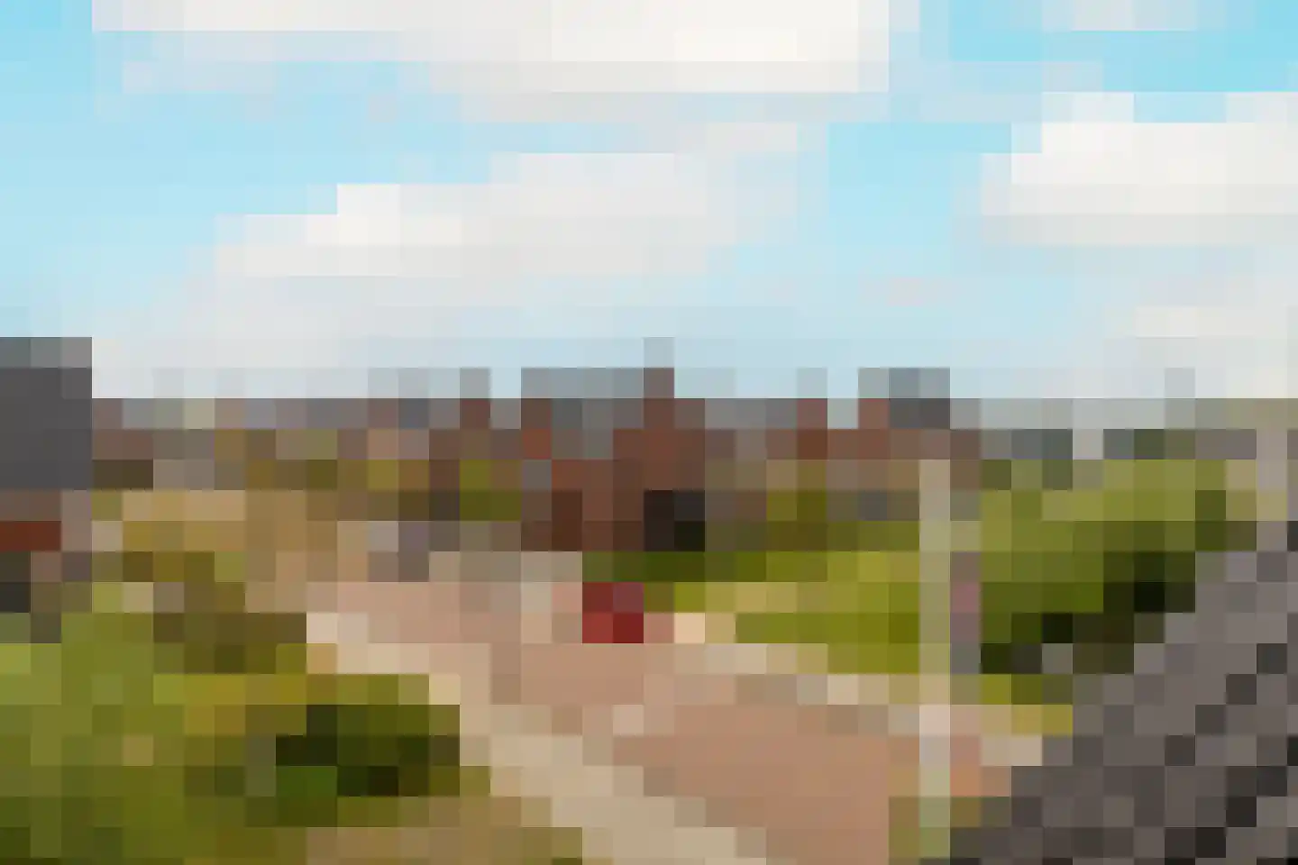 Bloementuin 5 Naaldwijk thumbnail 51