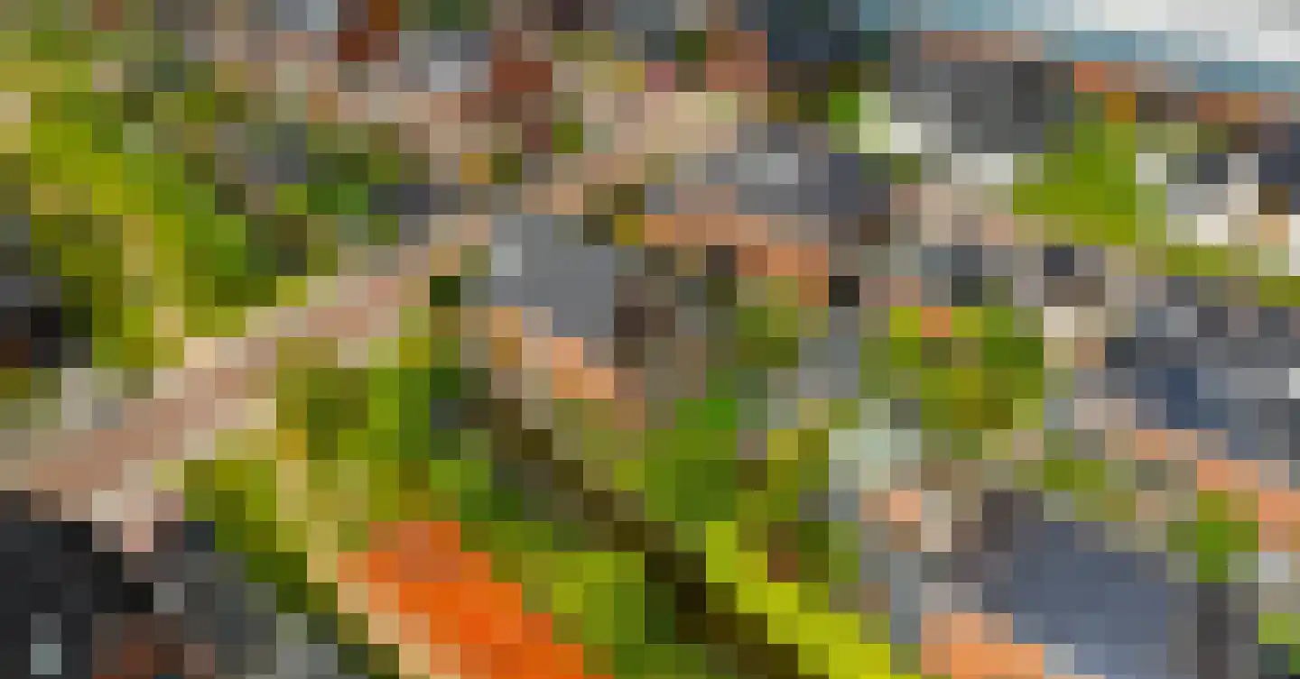 Bloementuin 5 Naaldwijk thumbnail 53