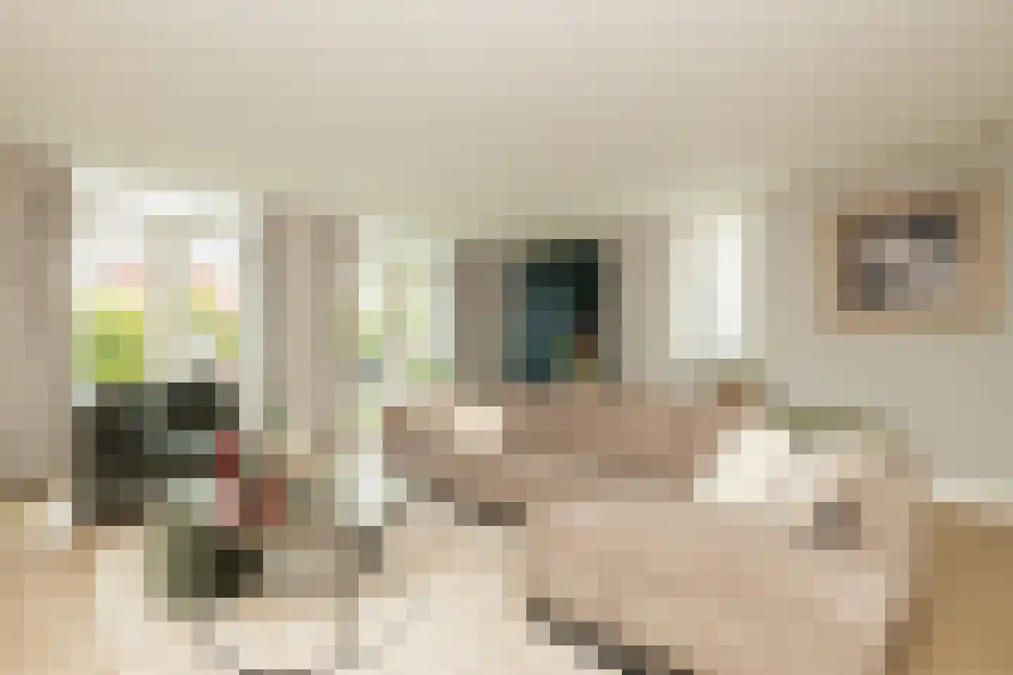 Bloementuin 5 Naaldwijk thumbnail 7
