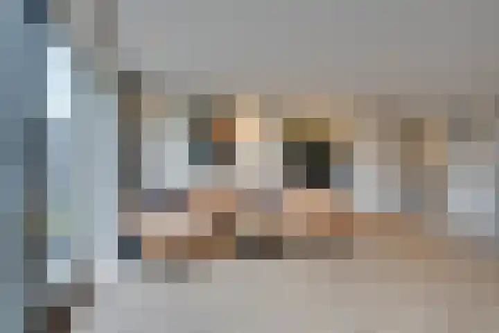 Bloementuin 8 De Goorn thumbnail 16