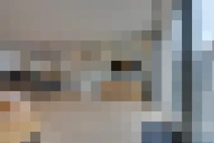 Bloementuin 8 De Goorn thumbnail 18