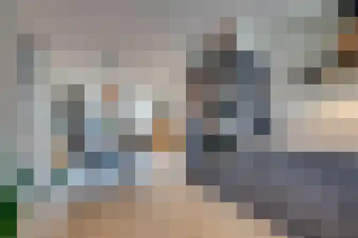 Bloementuin 8 De Goorn thumbnail 27
