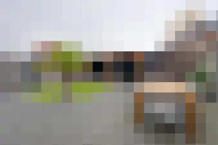 Bloementuin 8 De Goorn thumbnail 28