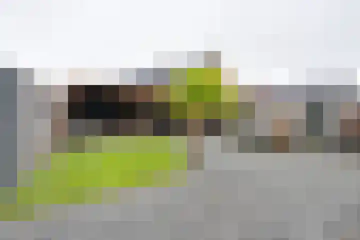 Bloementuin 8 De Goorn thumbnail 29
