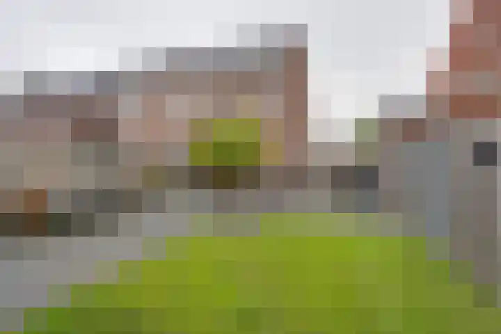 Bloementuin 8 De Goorn thumbnail 34