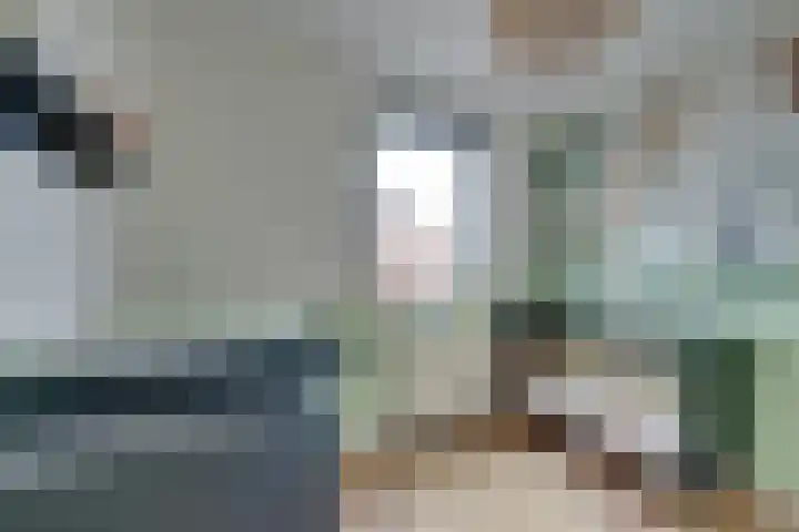 Bloementuin 8 De Goorn thumbnail 44