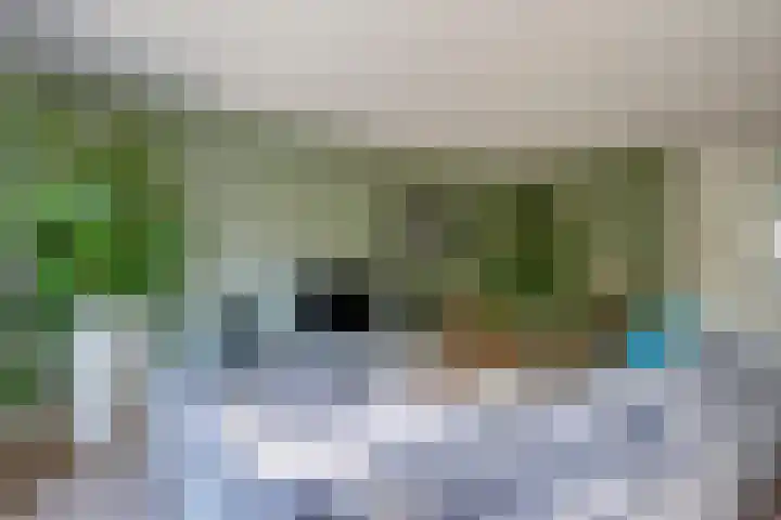 Bloementuinlaan 4 Vleuten thumbnail 14