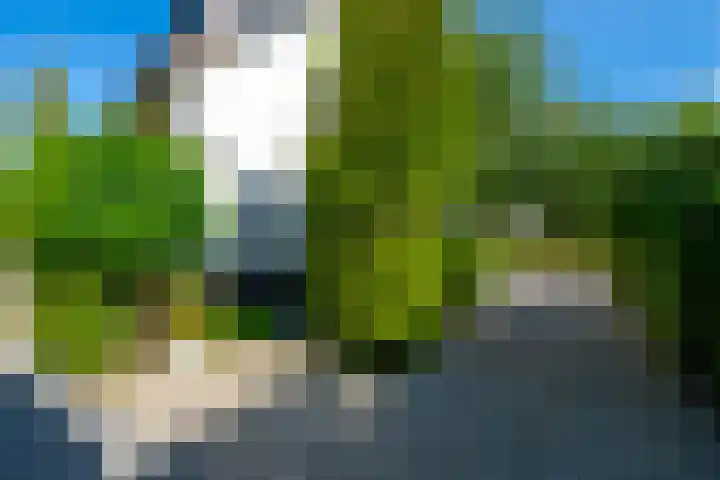 Bloementuinlaan 4 Vleuten thumbnail 30