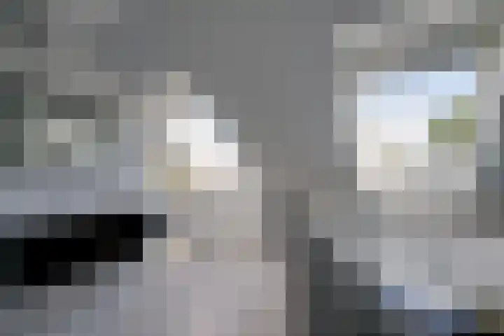 Bloementuinlaan 4 Vleuten thumbnail 4