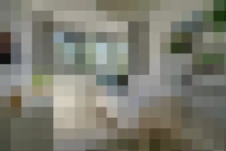 Bloementuinlaan 4 Vleuten thumbnail 40