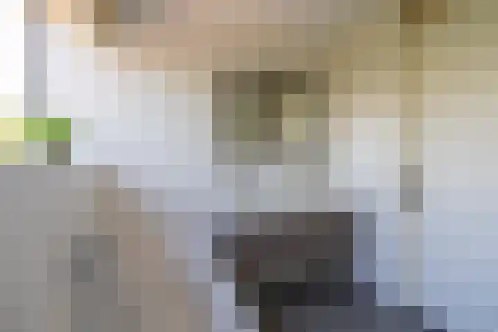 Bloementuinlaan 4 Vleuten thumbnail 43